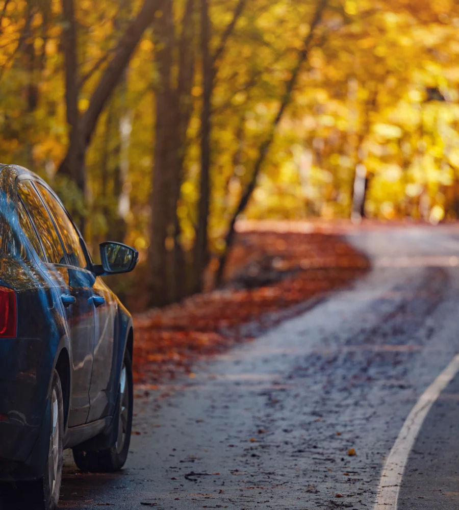 bottari-europe-car-autumn